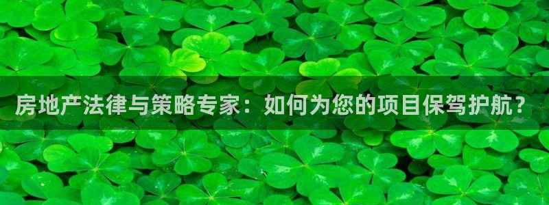 新宝股东张听2 5 5：房地产法律与策略专家：如何为您的项目