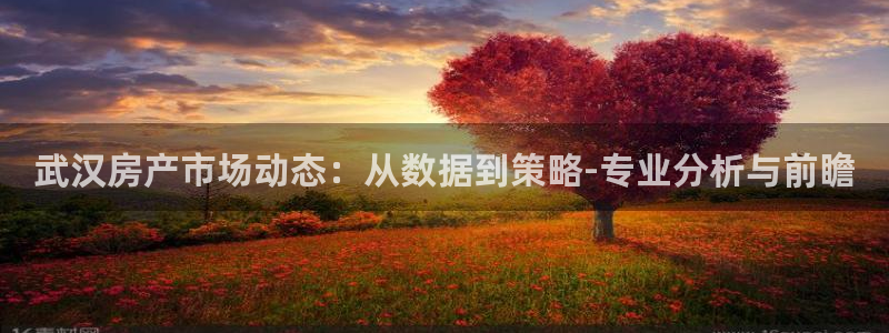新宝5娱乐经：武汉房产市场动态：从数据到策略-专业分析与前瞻