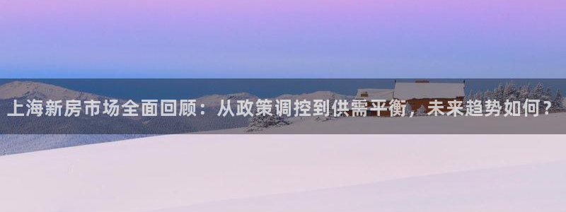 新宝5球维33 300：上海新房市场全面回顾：从政策调控到供