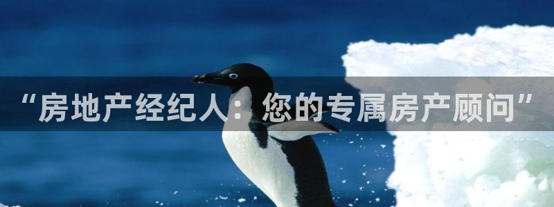 新宝5官网app：“房地产经纪人：您的专属房产顾问”