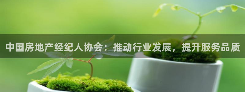 新宝m2O5O5O：中国房地产经纪人协会：推动行业发展，提升