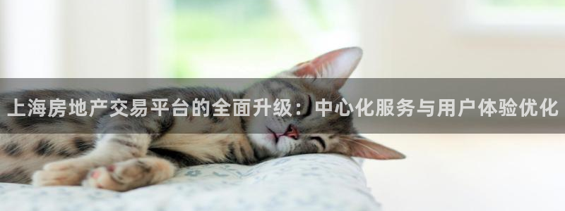 新宝5登录地址：上海房地产交易平台的全面升级：中心化服务与用
