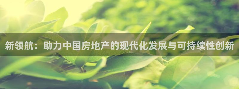 新宝5登陆：新领航：助力中国房地产的现代化发展与可持续性创新