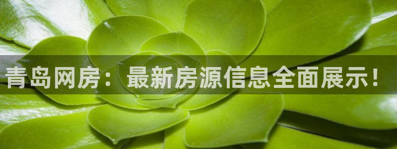 新宝5代理：青岛网房：最新房源信息全面展示！