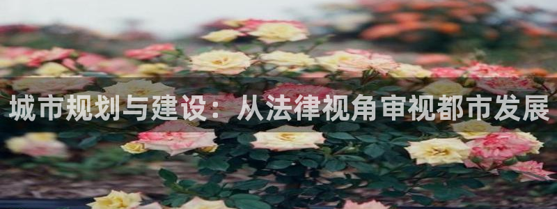 新宝5登录注册：城市规划与建设：从法律视角审视都市发展