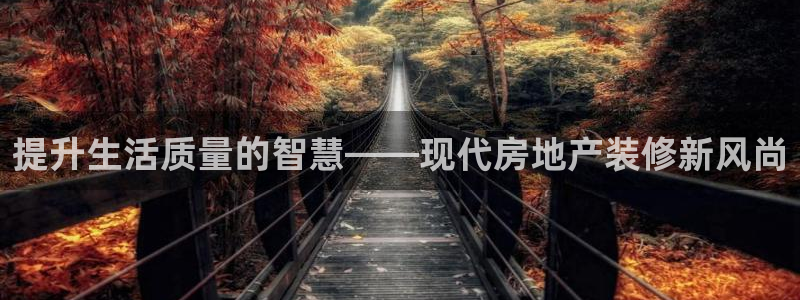新宝新5：提升生活质量的智慧——现代房地产装修新风尚