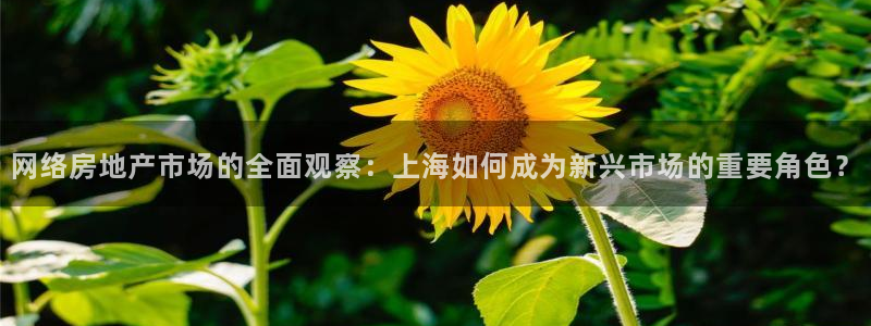 新宝5-测速：网络房地产市场的全面观察：上海如何成为新兴市场