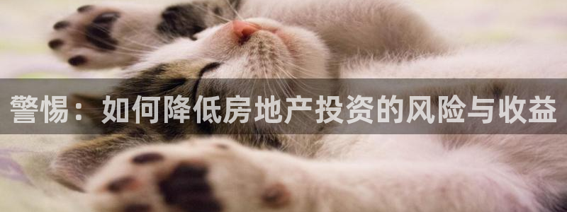 新宝5娱乐登陆：警惕：如何降低房地产投资的风险与收益