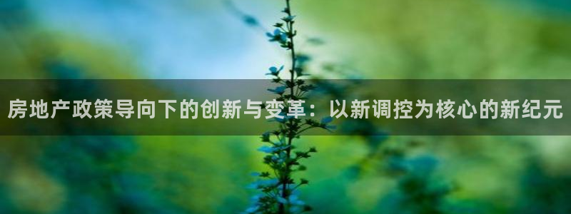 新宝5如何下载：房地产政策导向下的创新与变革：以新调控为核心