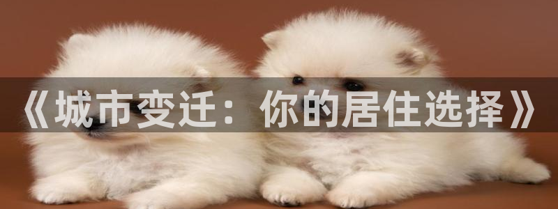 新宝5官方登录入口：《城市变迁：你的居住选择》