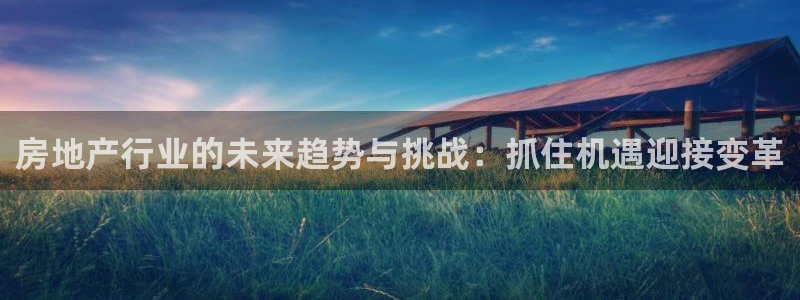 新宝5注册霸：房地产行业的未来趋势与挑战：抓住机遇迎接变革