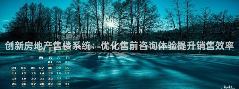 新宝5卫74OOO5：创新房地产售楼系统：优化售前咨询体验提