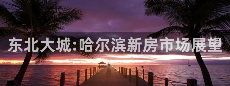 新宝5后：东北大城:哈尔滨新房市场展望