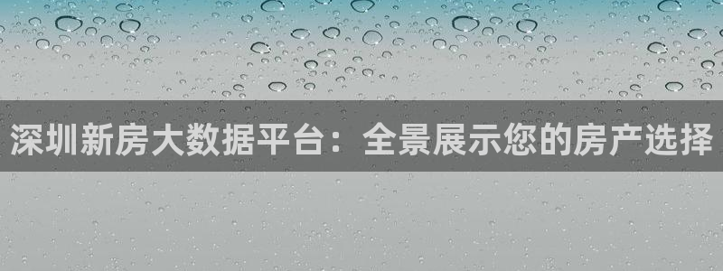 i新宝5：深圳新房大数据平台：全景展示您的房产选择