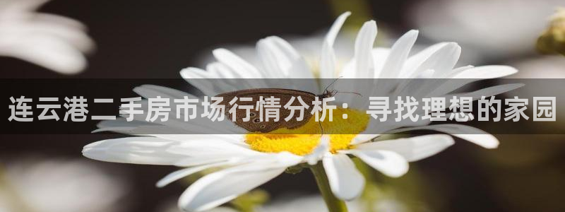 新宝5开好：连云港二手房市场行情分析：寻找理想的家园