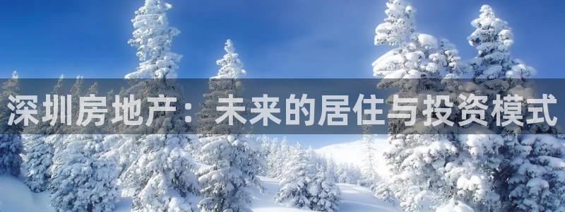 新宝5浗维33 300：深圳房地产：未来的居住与投资模式