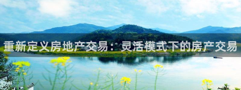新宝奇迹GG5：重新定义房地产交易：灵活模式下的房产交易