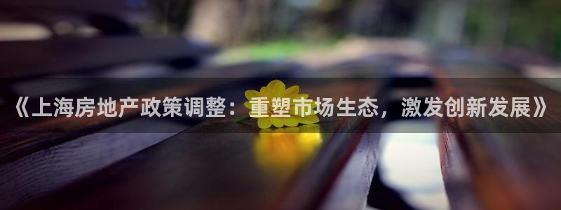 新宝5登录地址：《上海房地产政策调整：重塑市场生态，激发创新