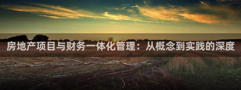 新宝5注册链接：房地产项目与财务一体化管理：从概念到实践的深