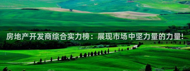 2022新宝骏rs 5：房地产开发商综合实力榜：展现市场中坚