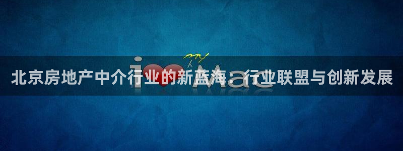 新宝堂新会陈皮5年：北京房地产中介行业的新蓝海：行业联盟与创