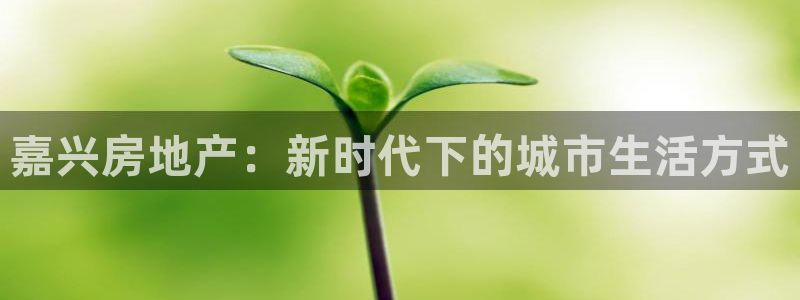 新宝5手机登录：嘉兴房地产：新时代下的城市生活方式