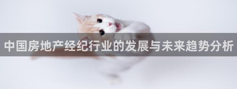 新宝5公司：中国房地产经纪行业的发展与未来趋势分析