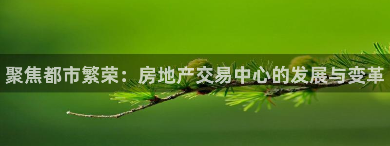 新宝5苹果手机下载：聚焦都市繁荣：房地产交易中心的发展与变革