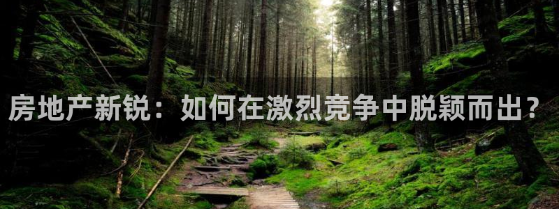 新宝5_测：房地产新锐：如何在激烈竞争中脱颖而出？