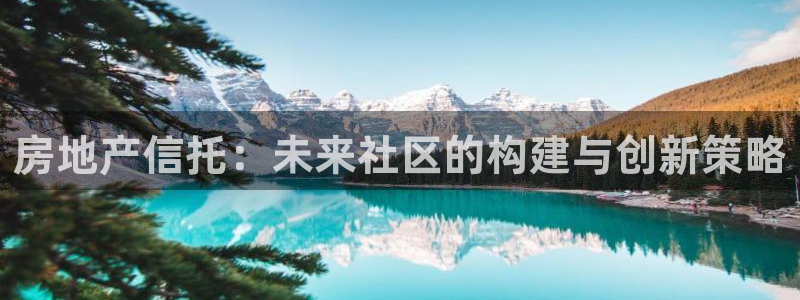 新宝5X：房地产信托：未来社区的构建与创新策略