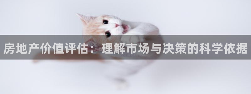 新宝5 888：房地产价值评估：理解市场与决策的科学依据