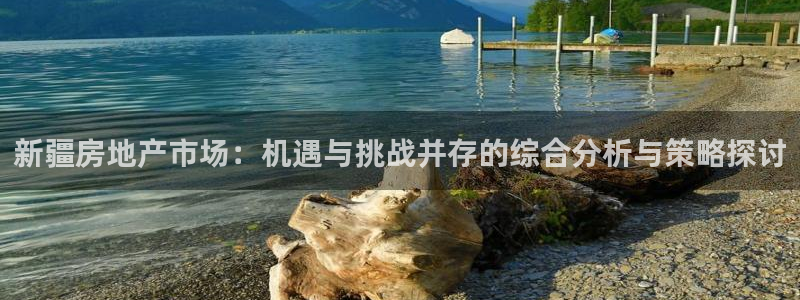 新宝5日740005蔻：新疆房地产市场：机遇与挑战并存的综合