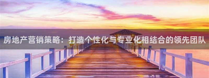 新宝5如何注册登录：房地产营销策略：打造个性化与专业化相结合