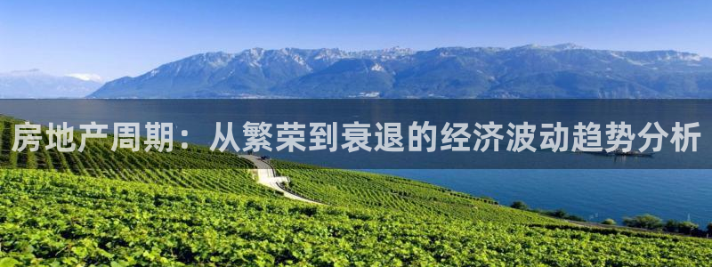 新宝5为啥开：房地产周期：从繁荣到衰退的经济波动趋势分析