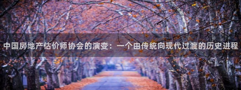 新宝5官方登录入口：中国房地产估价师协会的演变：一个由传统向