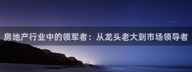 新宝5软件下载：房地产行业中的领军者：从龙头老大到市场领导者