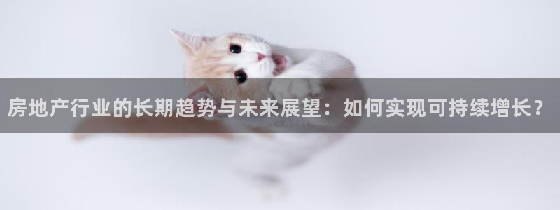 新5宝：房地产行业的长期趋势与未来展望：如何实现可持续增长？
