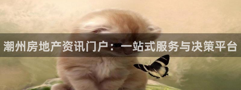 新宝5玩法：潮州房地产资讯门户：一站式服务与决策平台