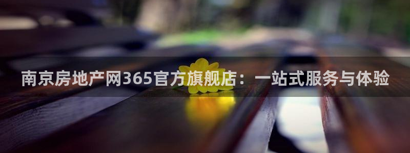 新宝5官方网站：南京房地产网365官方旗舰店：一站式服务与体