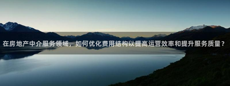 新宝5是谁：在房地产中介服务领域，如何优化费用结构以提高运营