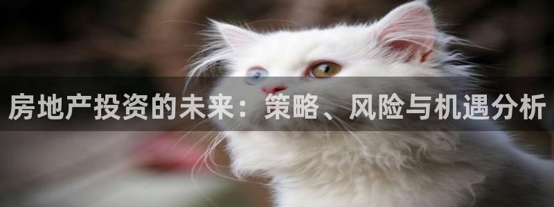 新宝5如何注册登录：房地产投资的未来：策略、风险与机遇分析