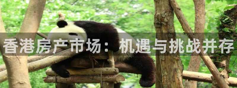 新宝h2O5O5O：香港房产市场：机遇与挑战并存