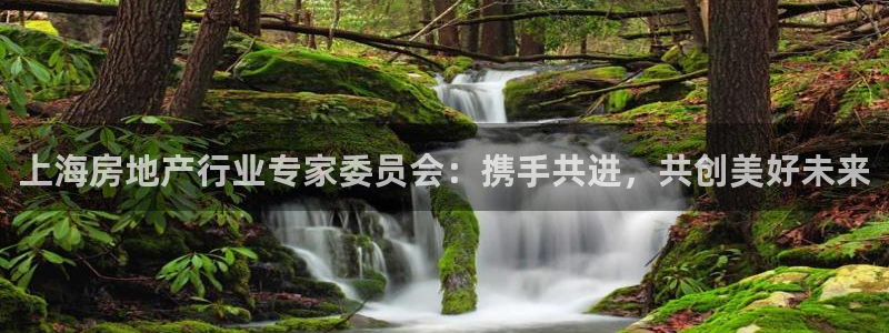 新宝5策略：上海房地产行业专家委员会：携手共进，共创美好未来