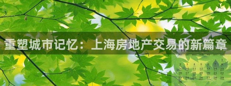 新宝5骗术：重塑城市记忆：上海房地产交易的新篇章