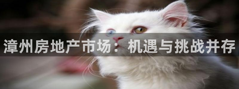 新宝5的网址：漳州房地产市场：机遇与挑战并存