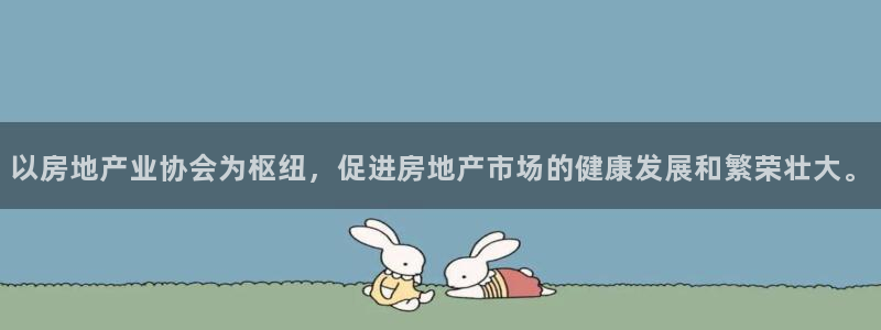 新宝5官方网站：以房地产业协会为枢纽，促进房地产市场的健康发