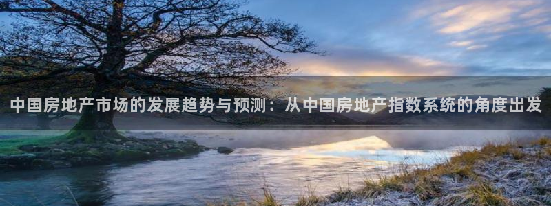 新宝5平台咋样：中国房地产市场的发展趋势与预测：从中国房地产