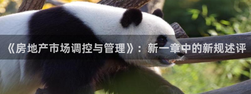 新宝5是什么：《房地产市场调控与管理》：新一章中的新规述评