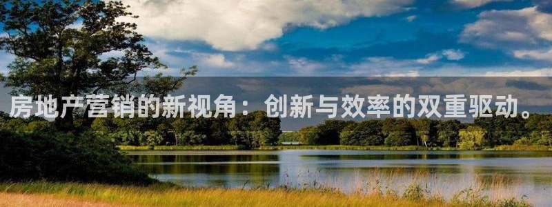 新宝5娱乐方：房地产营销的新视角：创新与效率的双重驱动。