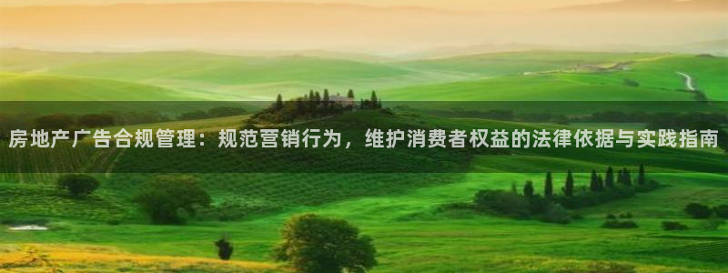 新宝5手机登录：房地产广告合规管理：规范营销行为，维护消费者